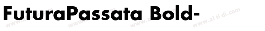 FuturaPassata Bold字体转换